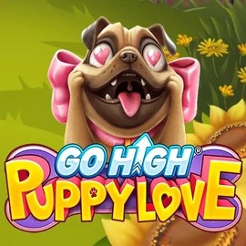 Play Go High Puppy Love slot by RubyPlay on rollingslot.eu